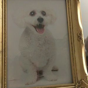 Meet your Posher, Wanda